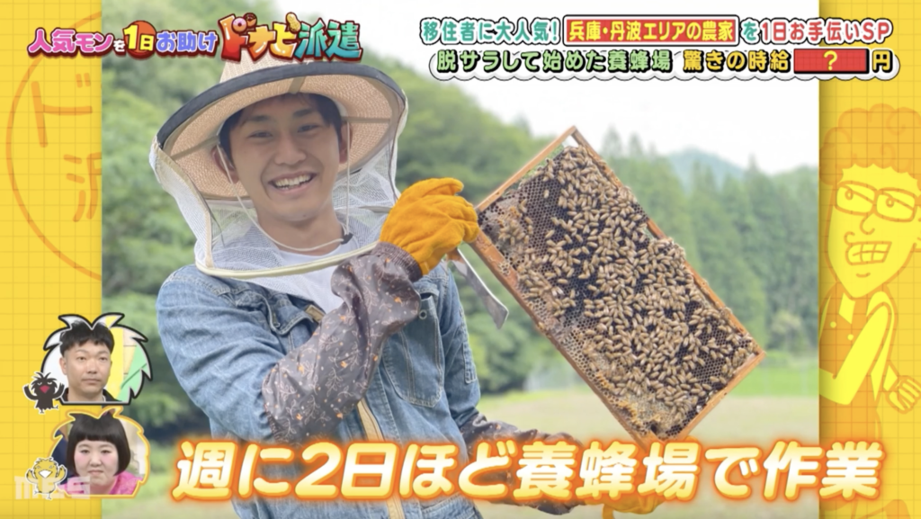 みつろうの養蜂場「berich養蜂場」が毎日放送「せやねん」内のドナピ派遣にて取材されました。