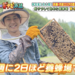 みつろうの養蜂場「berich養蜂場」が毎日放送「せやねん」内のドナピ派遣にて取材されました。